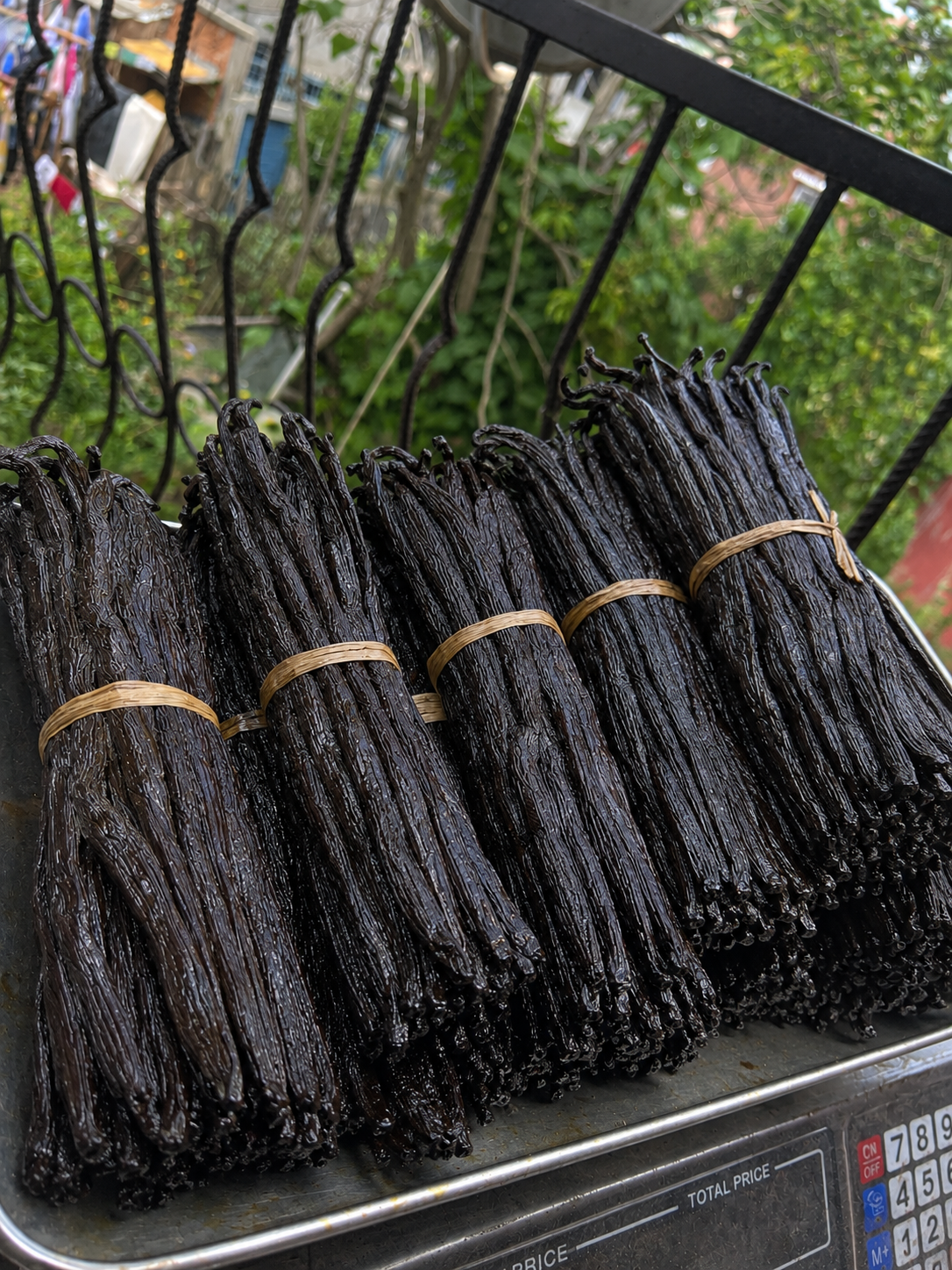 Madagascar Gourmet Bourbon Vanilla Beans 