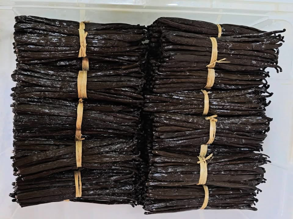 Gourmet Bourbon Vanilla Beans – Madagascar Grade A