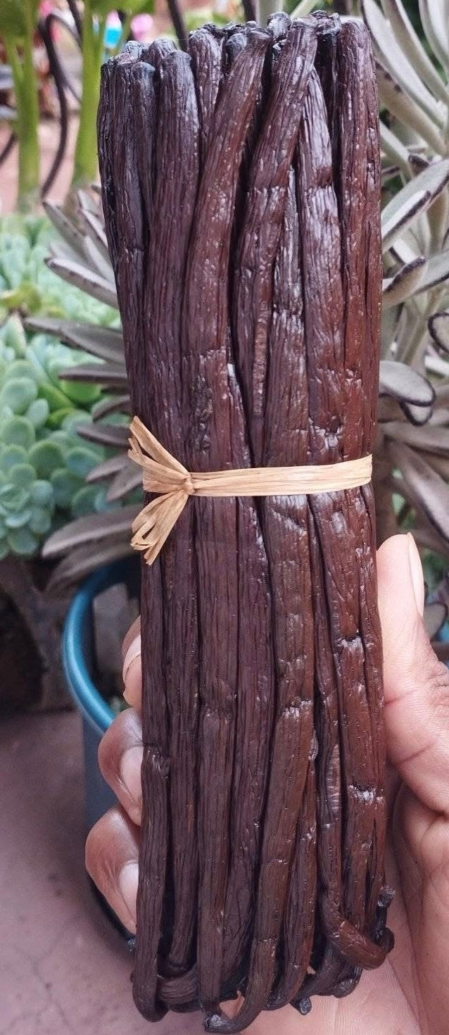 Madagascar Gourmet Bourbon Vanilla Beans 