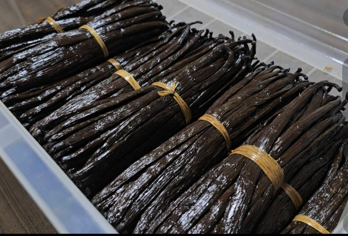Gourmet Bourbon Vanilla Beans – Madagascar Grade A